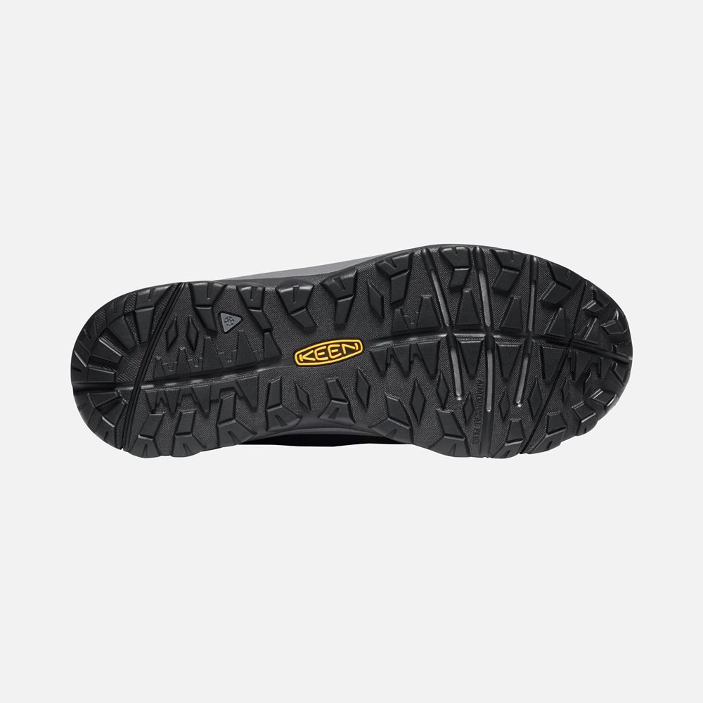 Keen Vinterkängor Dam Svarta - Terradora Ii Waterproof - 089641YCV